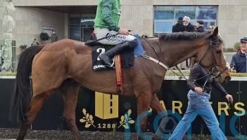 Class shines through as El Fabiolo canters to Leopardstown win