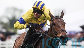 Owner Fearghal Eastwood savouring Festival journey with Spindleberry