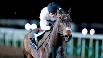 Kempton team await the Constitution Hill effect