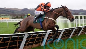 Diva Luna has spring options after Cheltenham no-show