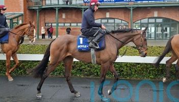 Elliott anticipating top-weight for Better Days Ahead at Fairyhouse