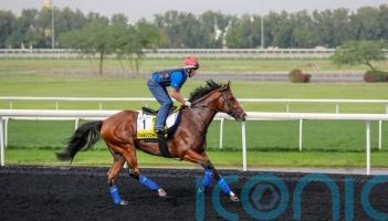 Gosden: Dubai Turf title for Ombudsman would be plan well executed