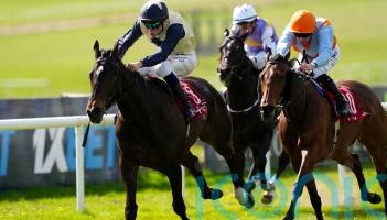 Starford shines to take Alleged Stakes
