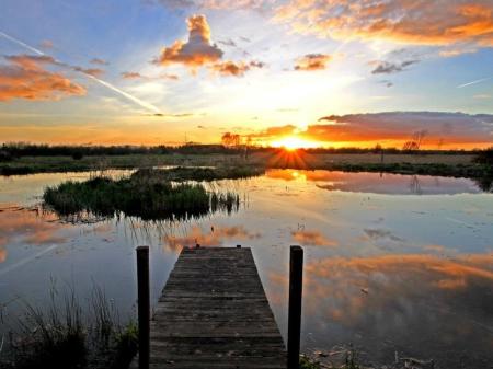 Restoration of Offaly wetlands to be focus of information meeting this week