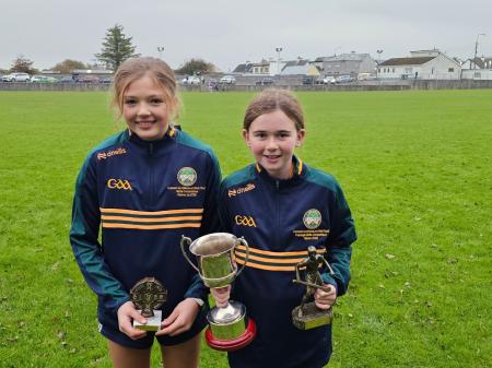 Offaly Cumann na mBunscol hurling and camogie skills competition