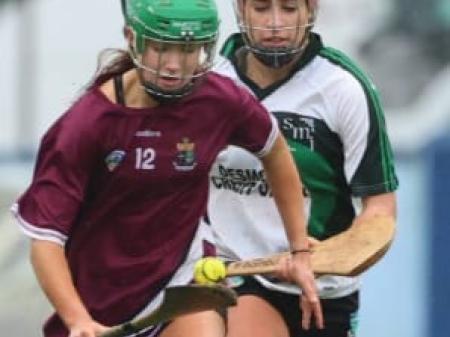 Sacred Heart Tullamore's All-Ireland dreams dashed by talented Newcastle West