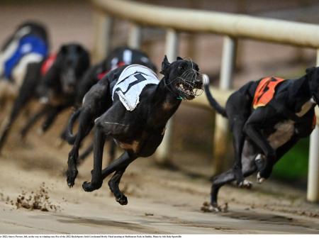 Gone to the dogs: Five Offaly winners