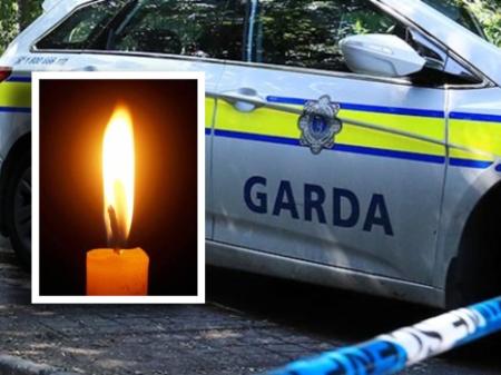 Young woman (20s) killed after being struck by car as garda&iacute; appeal for witnesses
