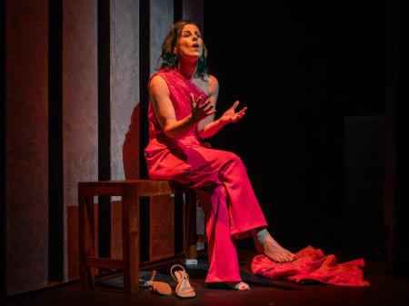 Offaly writer's award winning play comes to Birr for one night only