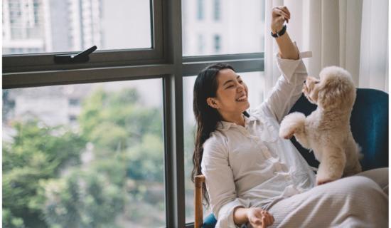 Looking for a new job? Join Zoetis, the world leader in animal health!