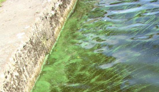 Deputy Alan Kelly among objectors to 170km Shannon water pipeline plan