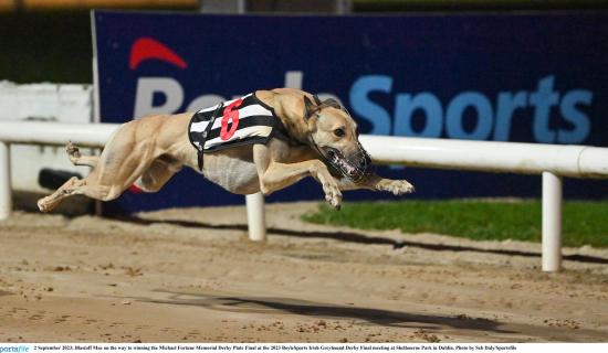 Gone to the dogs: Eight winners in magnificent week for Offaly greyhounds