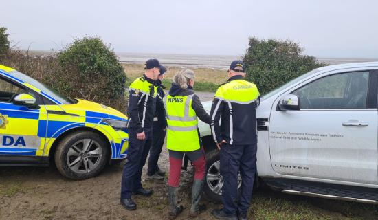 Garda&iacute; search for illegal hare hunters in Lough Boora