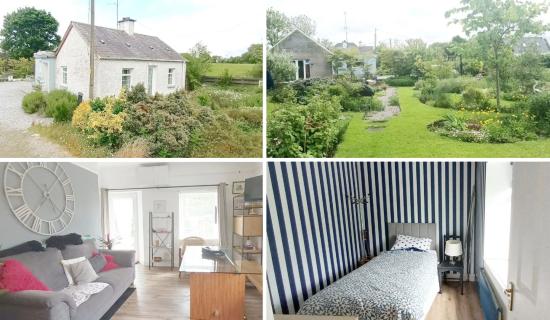 'A rare find' - Charming cottage in Offaly with jaw-dropping feature now on the market