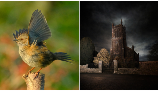 PICTURES: The spectacular photos that won Tullamore Camera Club's monthly competition
