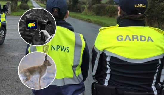 LONG READ: Inside the 'seasonal scourge' terrorising rural landowners across Offaly