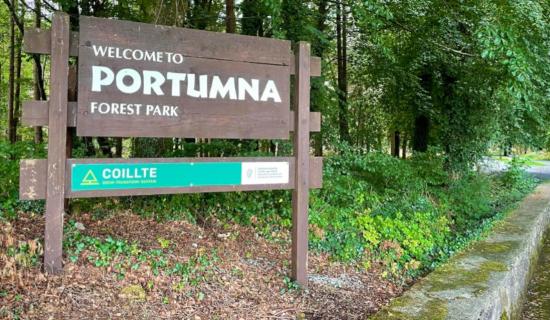 Portumna Forest Park