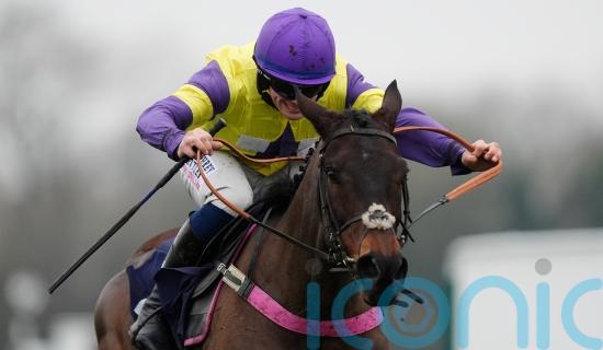 Nemean Lion on course for Windsor defence on Friday