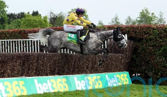 Temps team to take patient approach after Ascot fall