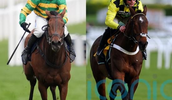 Sir Gino and The New Lion set for Cheltenham clash