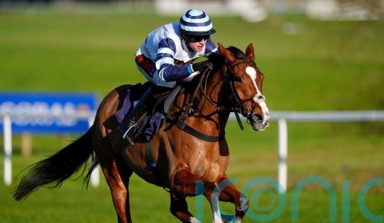 Derham thinking of Irish excursions with smart novices