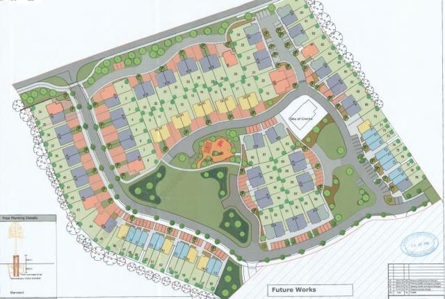 New housing estate proposed in 'a swamp' in Laois-Offaly town ...