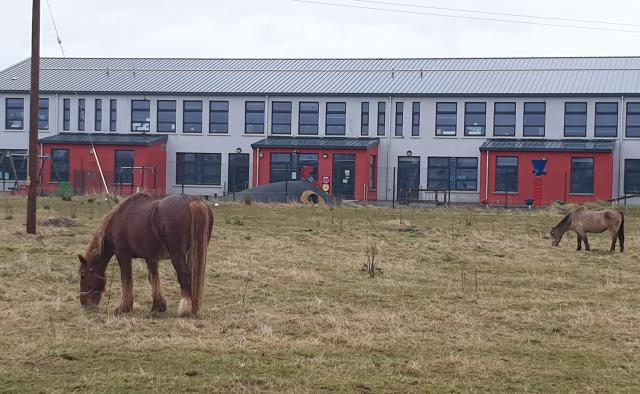 Prime site in Offaly town used for 'grazing horses' - Offaly Live
