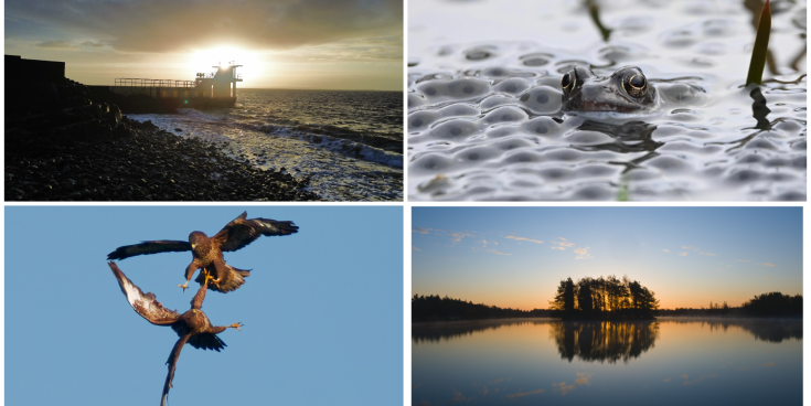 PICTURES: The latest eye-catching photos captured by members of Tullamore Camera Club