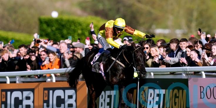 Galopin Des Champs to miss Cheltenham Gold Cup