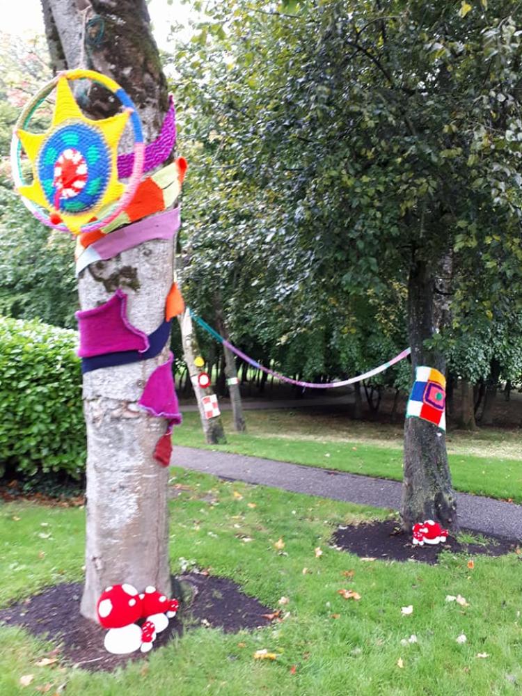 Tullamore Town Park gets unique makeover - Photo 1 of 20 - Offaly Express