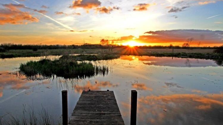 Local people learn about fen restoration at Laois and Offaly community events