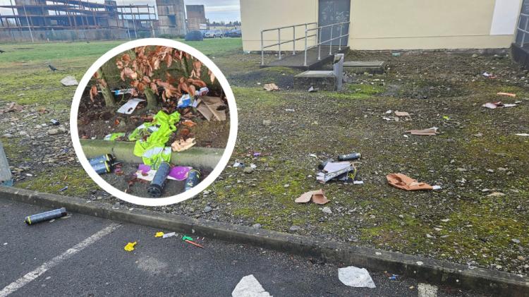 Litter pickers in Offaly make worrying discovery behind busy shopping centre