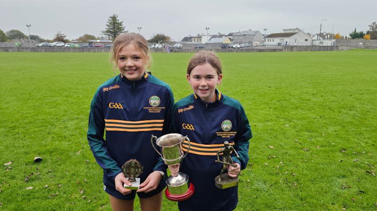 Offaly Cumann na mBunscol hurling and camogie skills competition