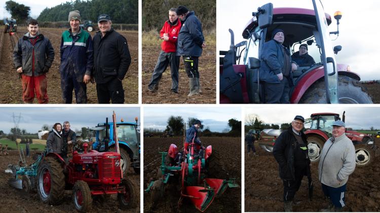 BIG PICTURE SPECIAL: Great turnout for Offaly Ploughing Championships