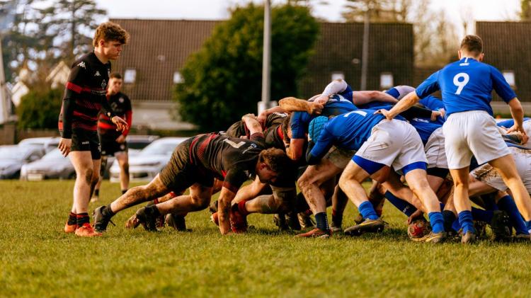 Wins for Tullamore rugby mens and ladies teams