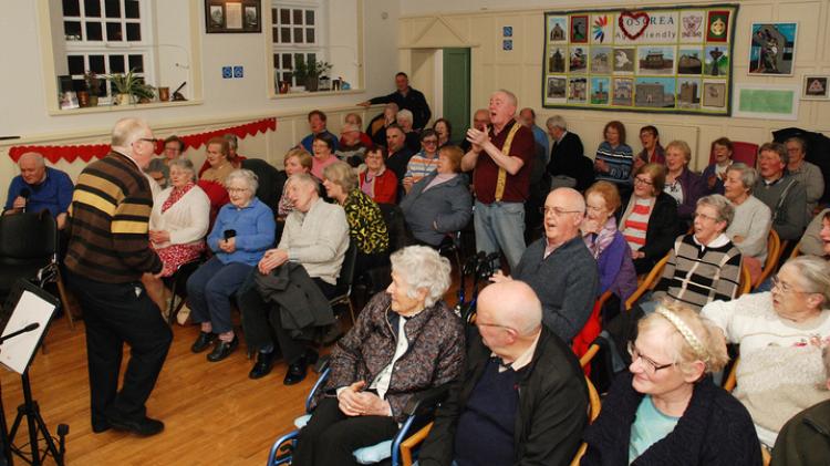 PICTURES: Raising the Courthouse roof at the Roscrea Rambling House