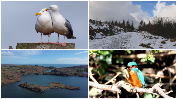 PICTURES: Tullamore Camera Club members capture new collection of breathtaking photos