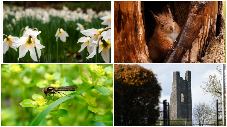 PICTURES: The latest eye-catching photos captured by members of Tullamore Camera Club