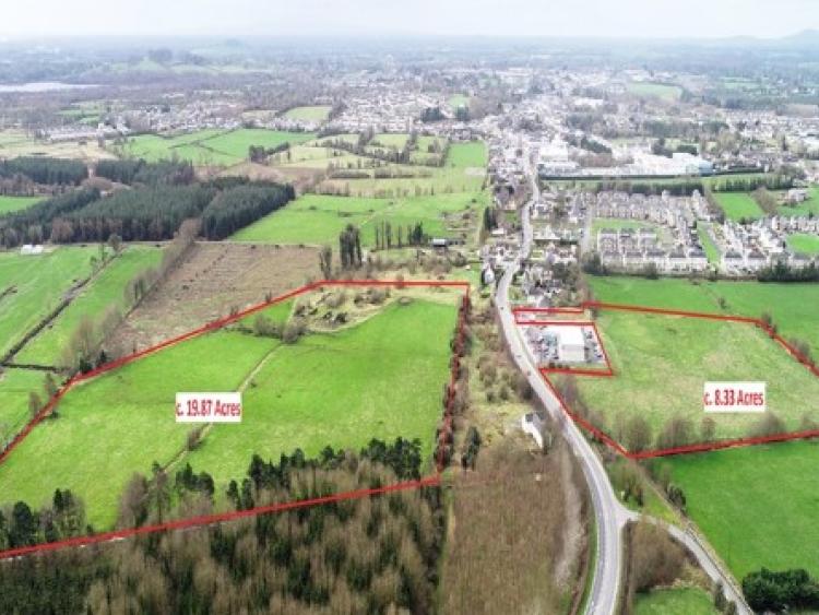 28 acres of land up for sale in Edenderry Offaly Express