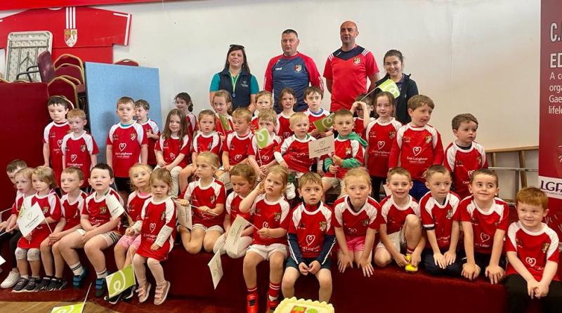 Large Offaly GAA club planning towards 2030