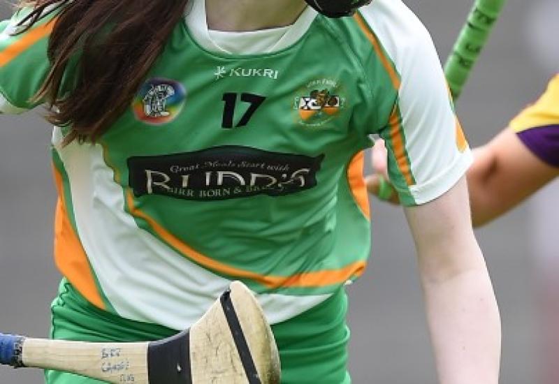 Offaly Camogie 2