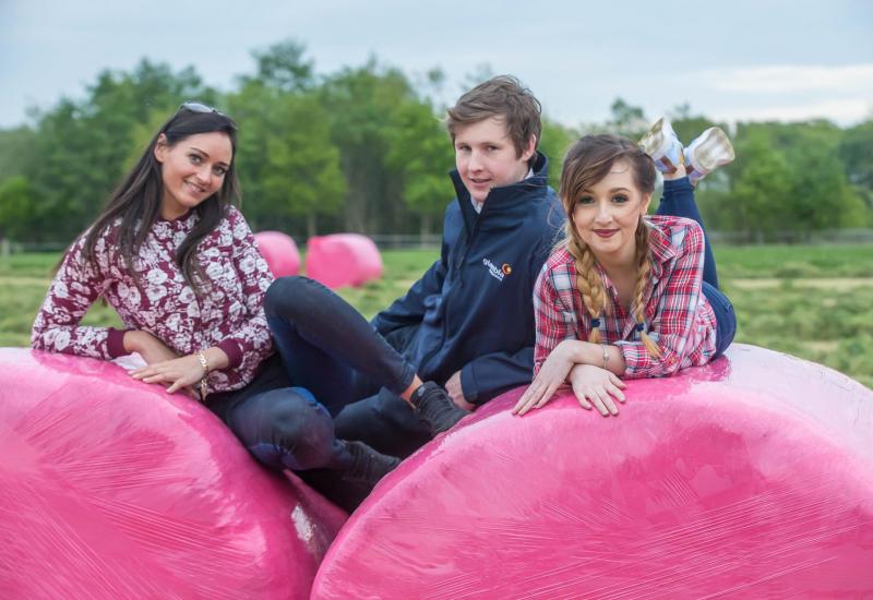 Pink Bales initiative raises €8,000 for Breast Cancer Ireland