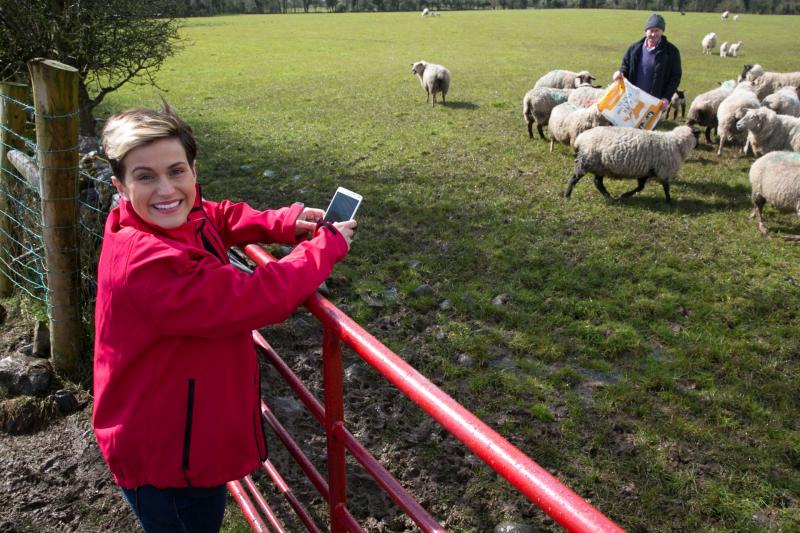 Tullamore experienced massive data jump during this year’s Ploughing Championship