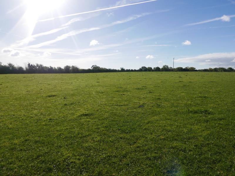 Agricultural land for sale in four lots in Cloneygowan