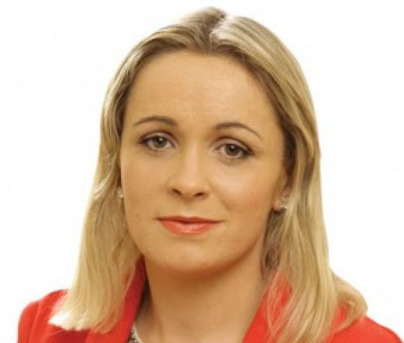 Offaly TD calls for rural transport incentives 