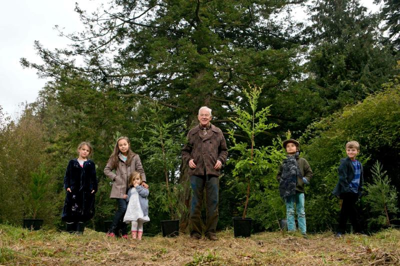 Be part of Giants Grove &ndash; the largest forest grove of giant redwoods outside California 