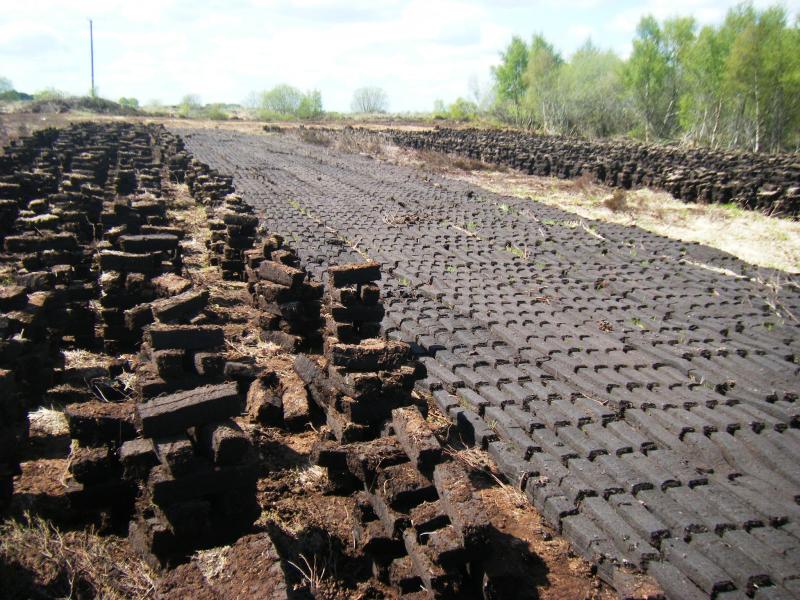 Man released from prison agrees not to interfere with protected Midlands bog