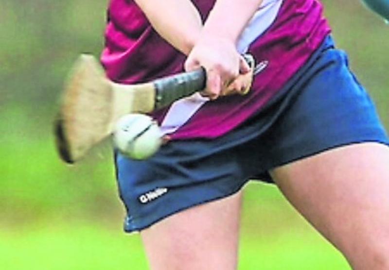 Offaly Camogie Results