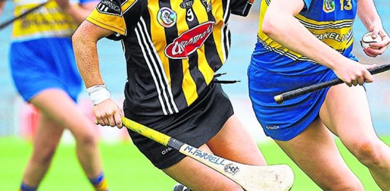 Camogie Round Up - Wins for Wexford, Waterford, Galway and Clare in Division 1