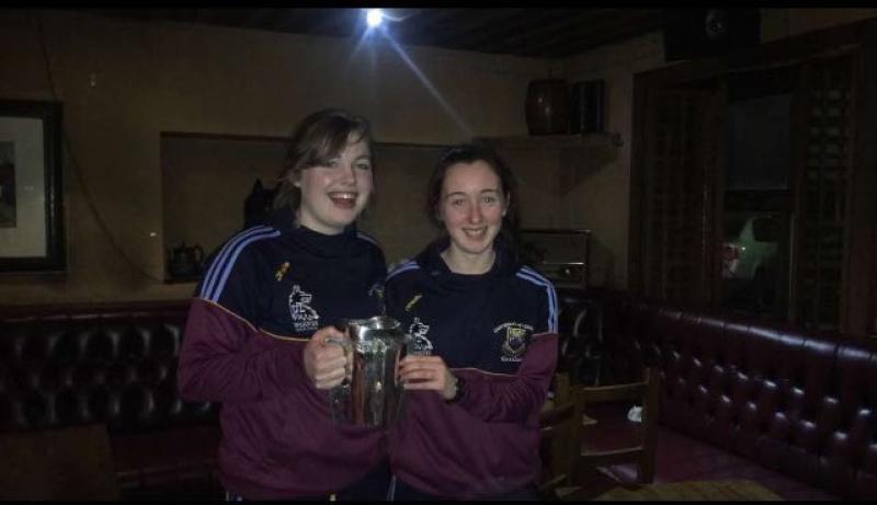 Offaly Camogie Notes (February 20)